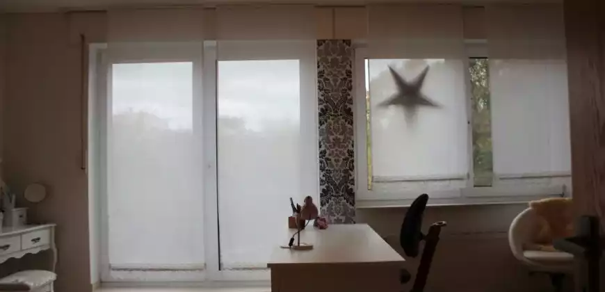 Gemütlich, praktisch, modern – Ihr Leben auf drei Ebenen im Mühlenbergviertel