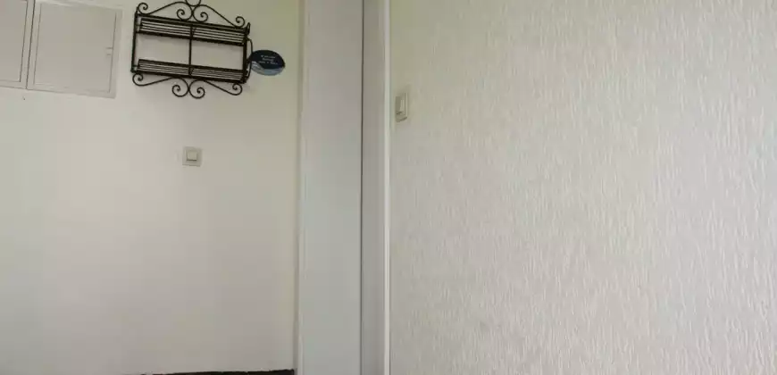 Solide Eigentumswohnung in direkter Rheinnähe umgeben von Wiesen und Feldern