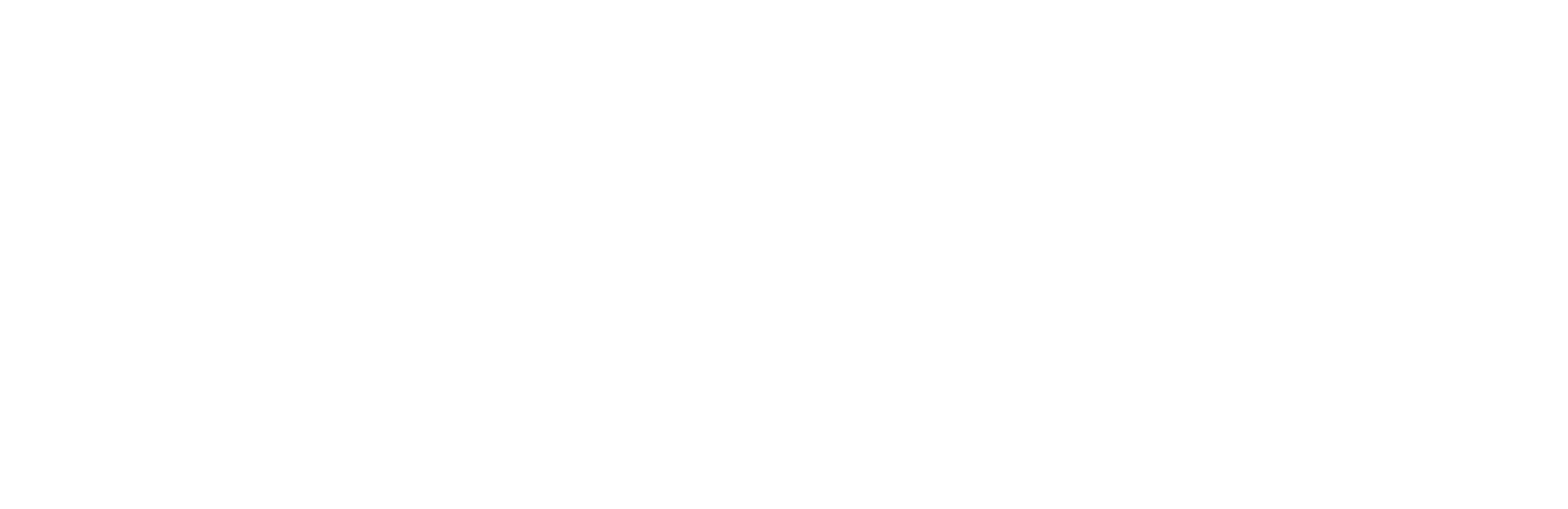 ImmoExpert_Logo_weiß